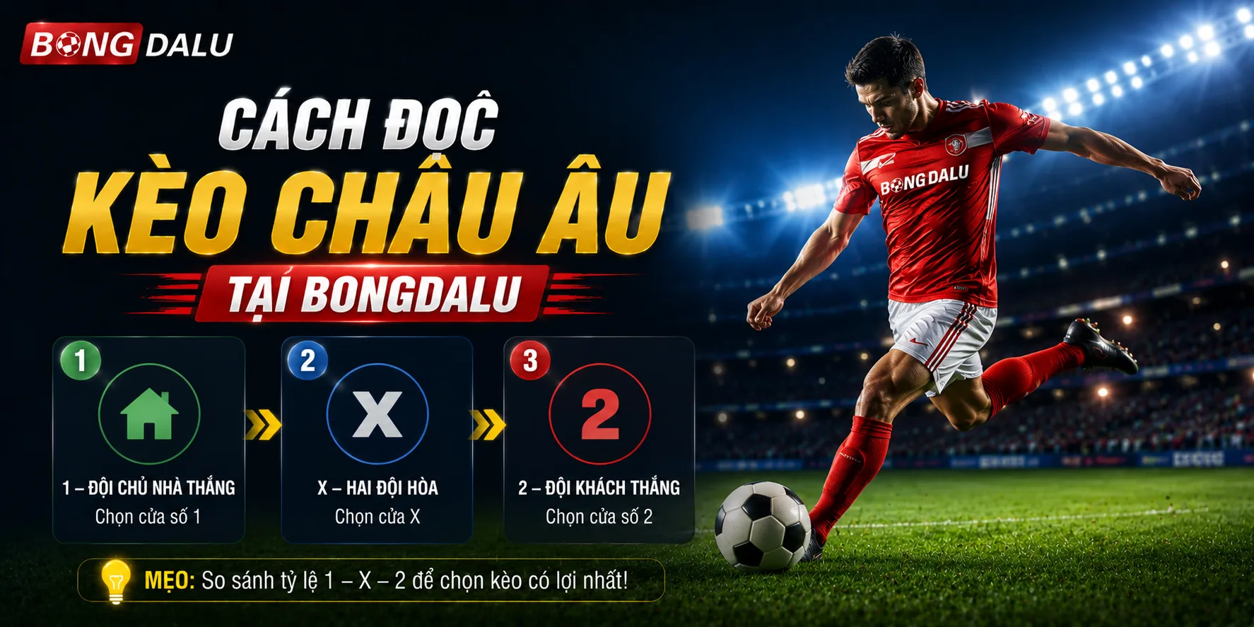 Hướng dẫn chi tiết cách đọc kèo châu Âu